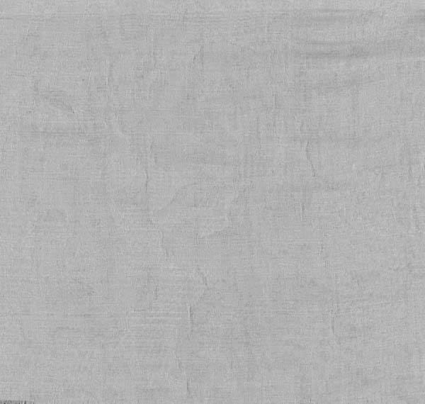 SILK POLY VOILE JACQUARD - IVORY